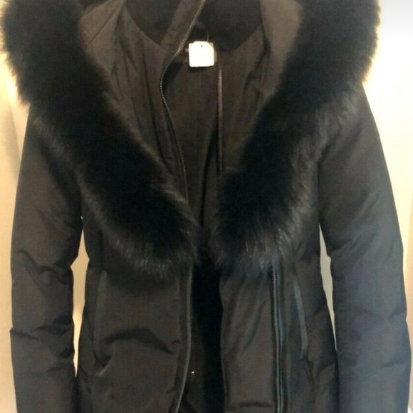 MACKAGE ADALI - Picture 2 of 2